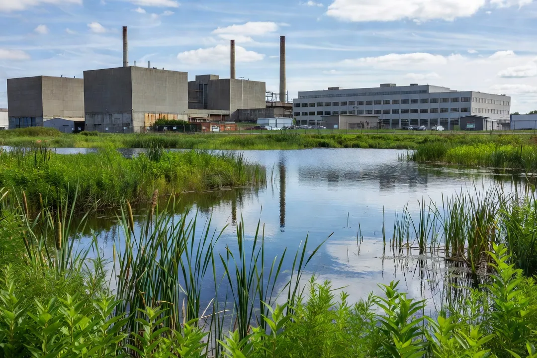 Biodiversité et entreprise 2026 : stratégie nationale, zéro artificialisation nette et indicateurs de suivi